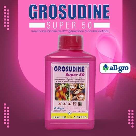 GROSUDINE  1L