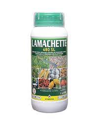 LAMACHETTE 1L