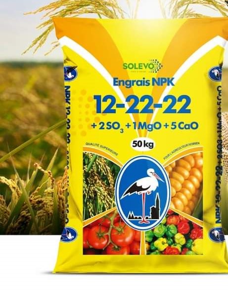 NPK 12 22 22  50KG