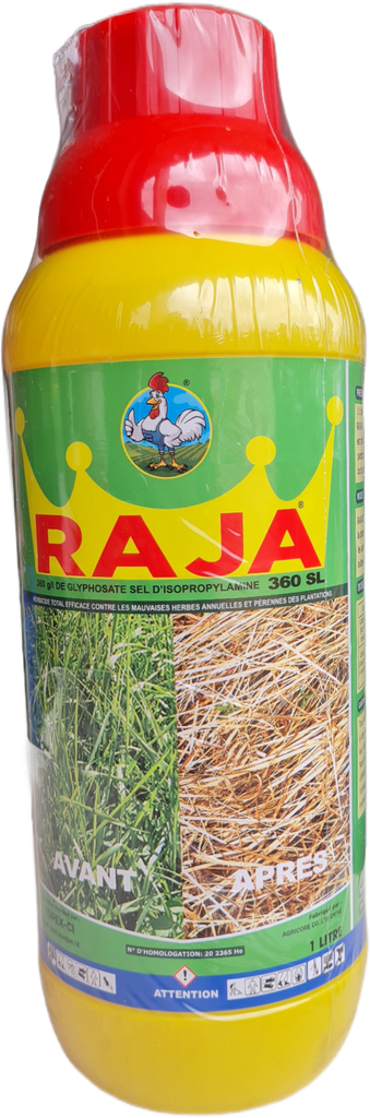 RAJA 360 SL 1L