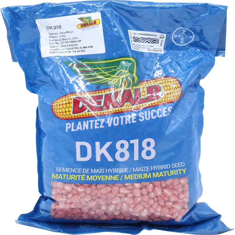 DK818