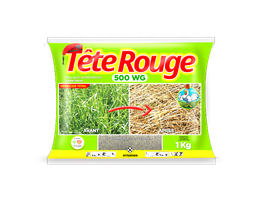 [REF0066] TETE ROUGE 500WG 1KG