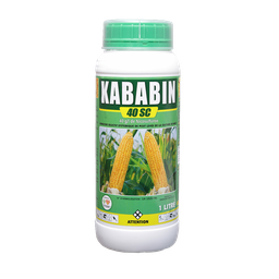 KABABIN 1L